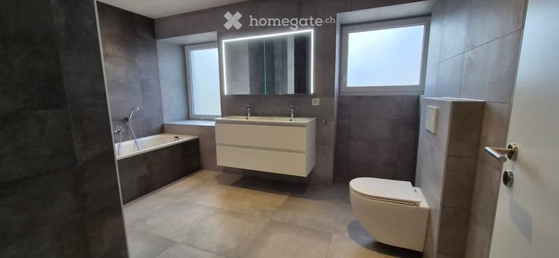 Modern bathroom with dark grey tiles, a white sink cabinet, a bathtub, a toilet, and a large illuminated mirror above the sink.