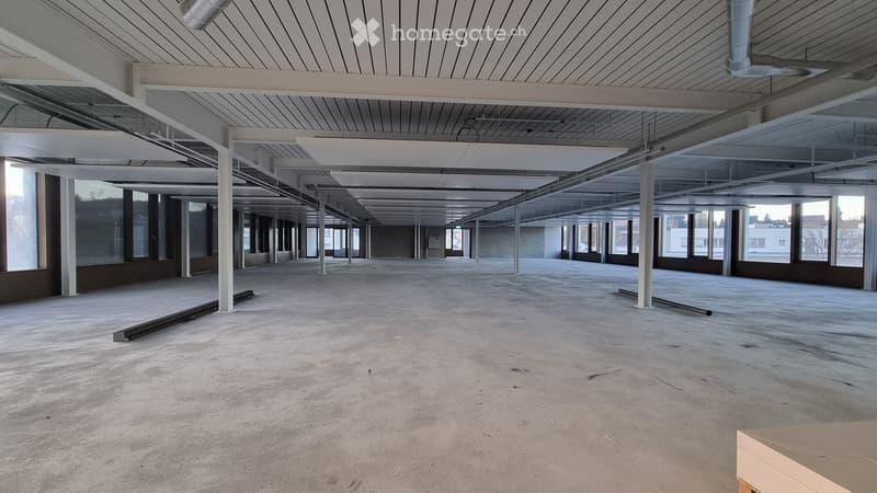 Empty industrial-style room with concrete floor, exposed white beams, and large windows allowing natural light.