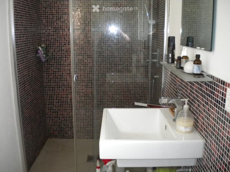 Modern bathroom with a white sink, glass shower enclosure, and various toiletries on the counter.