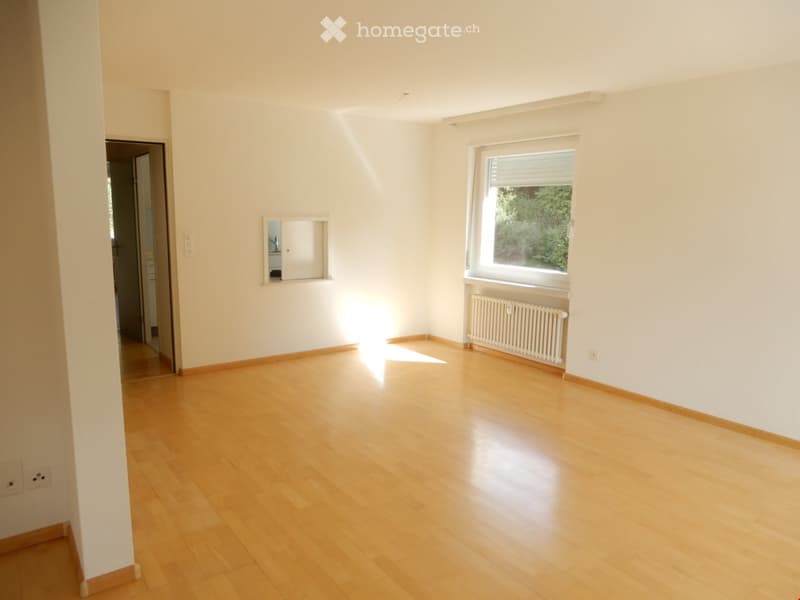 Empty room with light wooden flooring, white walls, and a large window with blinds. There is a radiator below the window and a small built-in shelf with a mirror on the wall.