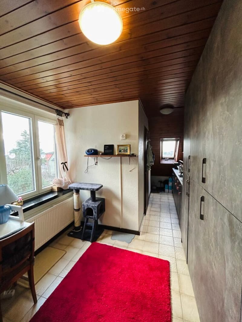 A small, cozy room with a cat tree, a chair, a table, a lamp, and a kitchen area with cabinets, a sink, and a fridge.