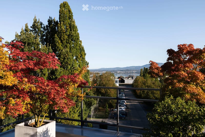 Balcony with a modern metal railing, overlooking a street lined with parked cars and surrounded by tall trees, including red maple and evergreens, with a distant view of a body of water and cityscape.