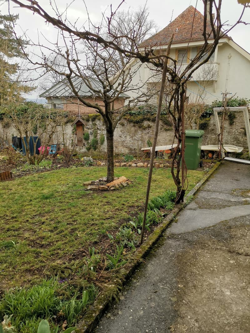 Small garden with a green bin, plants and trees in the background
