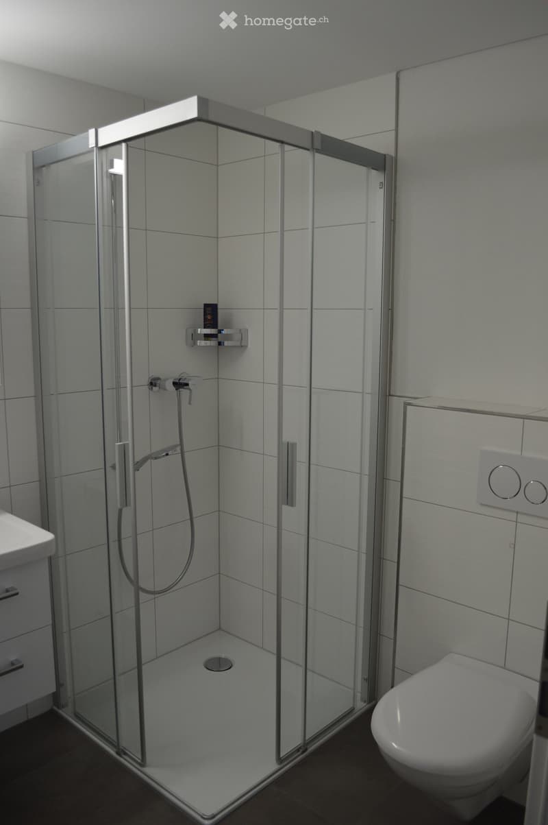 Modern bathroom with a glass-enclosed shower stall, a toilet, a faucet, and a small shower shelf holding a bottle.