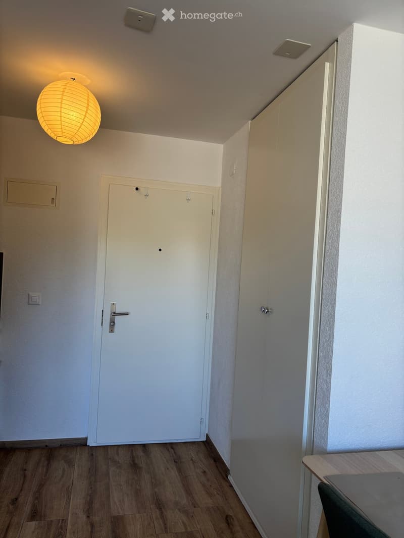 A narrow hallway with wooden flooring, white walls, and a single hanging lantern light fixture. There is a closed white door on the left and a partially visible cabinet on the right.