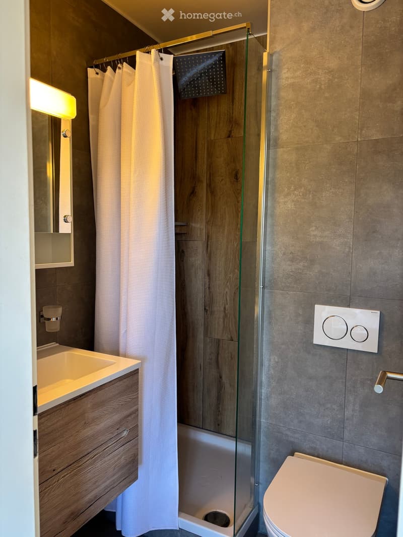 Modern bathroom with a wooden vanity, sink, mirror, toilet, and a glass-enclosed shower with a white curtain.