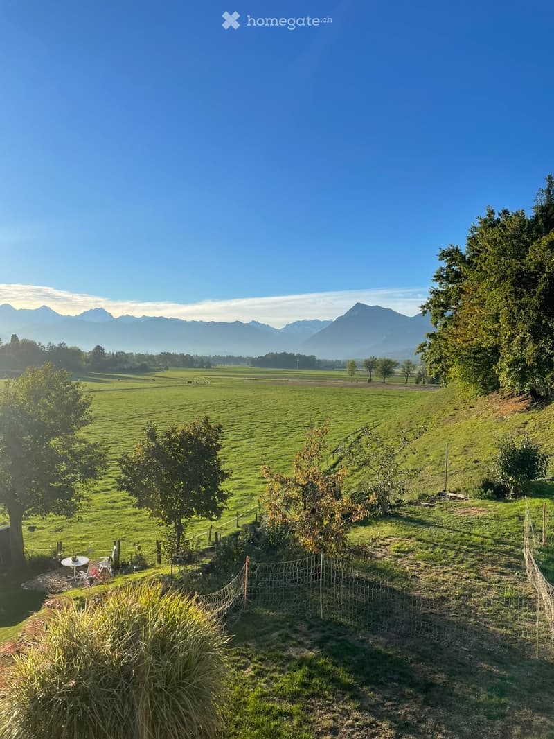 A peaceful garden area with a fenced section, a small table and chairs, surrounded by lush green grass and trees, with a scenic mountain view in the background.