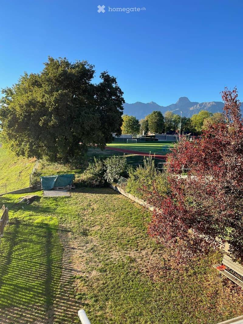 A well-maintained garden area with a grassy lawn, a covered object, a pathway, and distant mountains visible in the background.