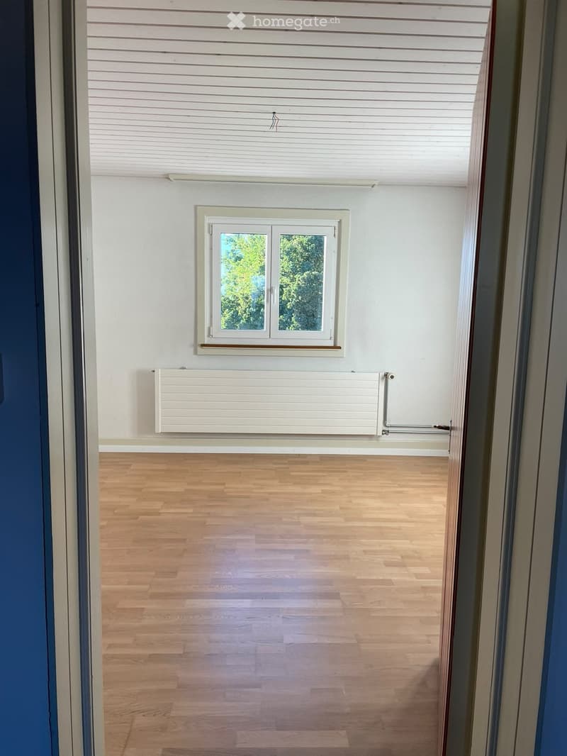 Empty room with light wooden flooring, white walls, a window with white frame, and a white radiator below the window.