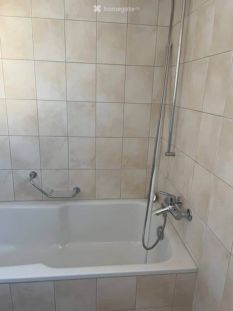 Bathtub with a modern faucet and handheld shower hose, accompanied by a handrail for safety.