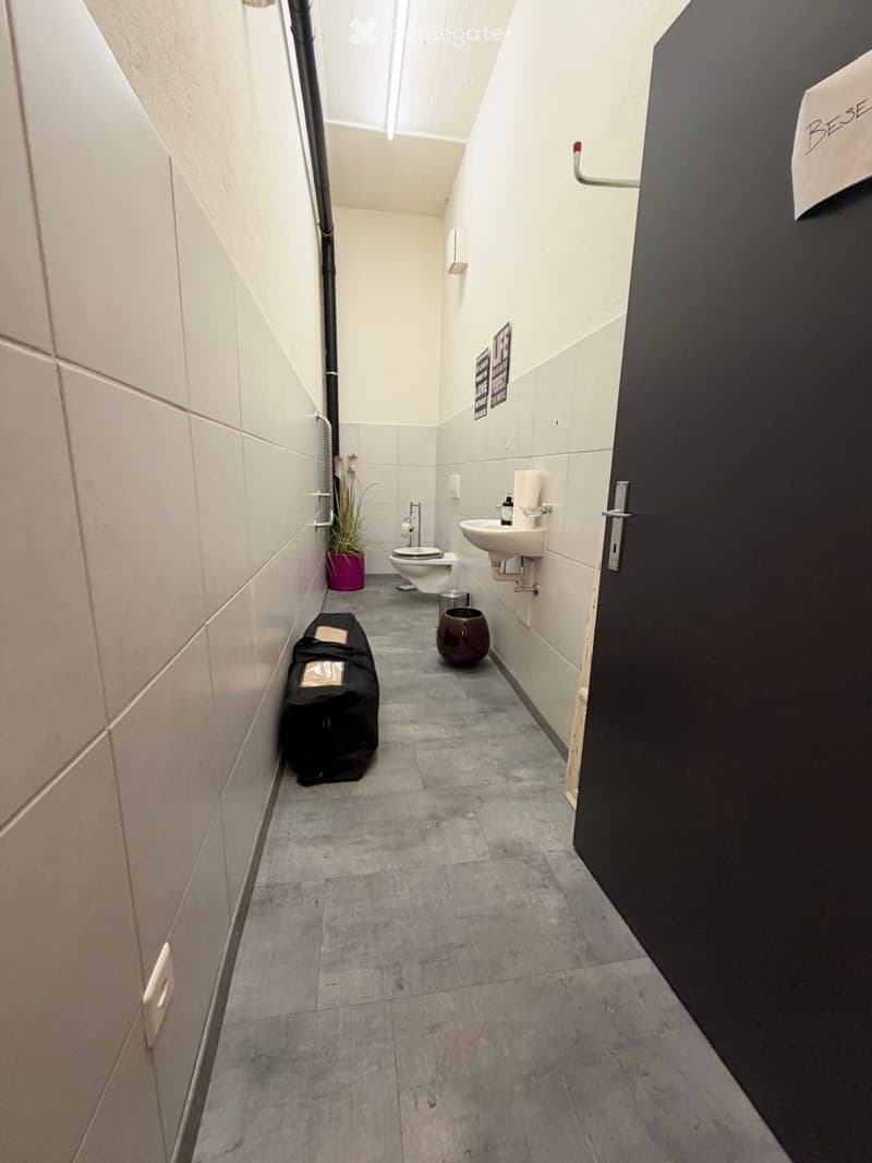 Modern bathroom with a toilet, sink, handrail, and decorative items including a handbag, vase, and plant.