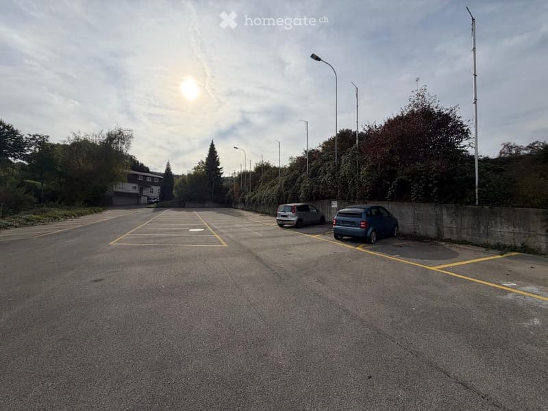 Empty parking lot with marked spaces, two parked cars, and surrounding greenery.