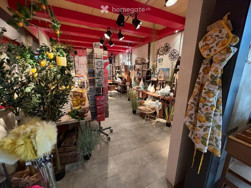 A well-lit interior space with a red ceiling, tiled floor, and various decorative items including a large furry pillow, baskets, vases, shelves with books and artwork, and hanging plants.