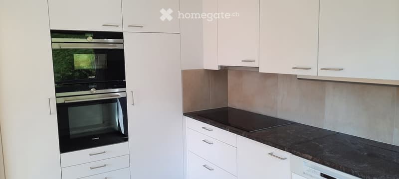 Modern kitchen with white cabinets, stainless steel oven, induction stove, and dishwasher.