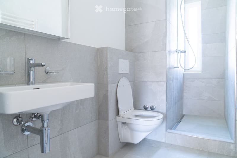 Modern bathroom with a white sink, chrome faucet, toilet, and glass-enclosed shower. Grey tiled walls and floor.