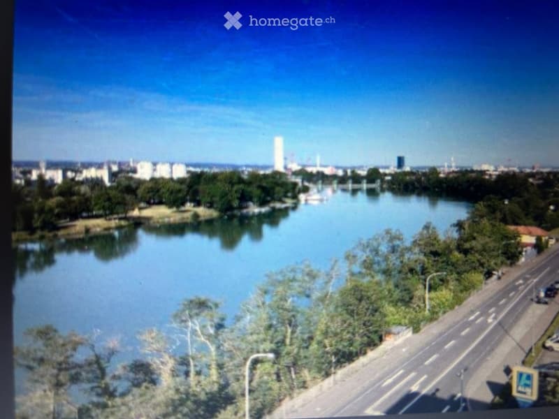 View of a river with surrounding greenery, a road on one side, and distant cityscape with tall buildings.