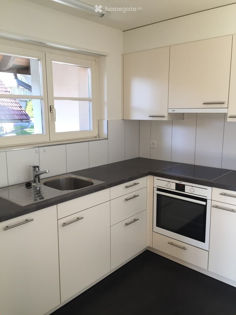 Modern kitchen with white cabinets, black countertops, stainless steel sink, and built-in oven.