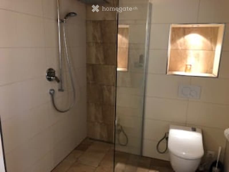 Modern bathroom with a glass-enclosed shower, toilet, and tiled walls.