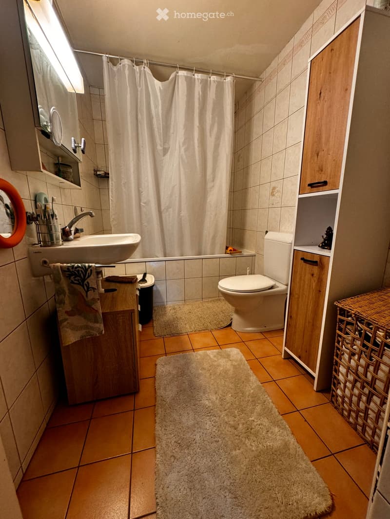 Bathroom with a sink, toilet, mirror, wooden cabinet, towel, shower curtain, and two rugs on the floor.