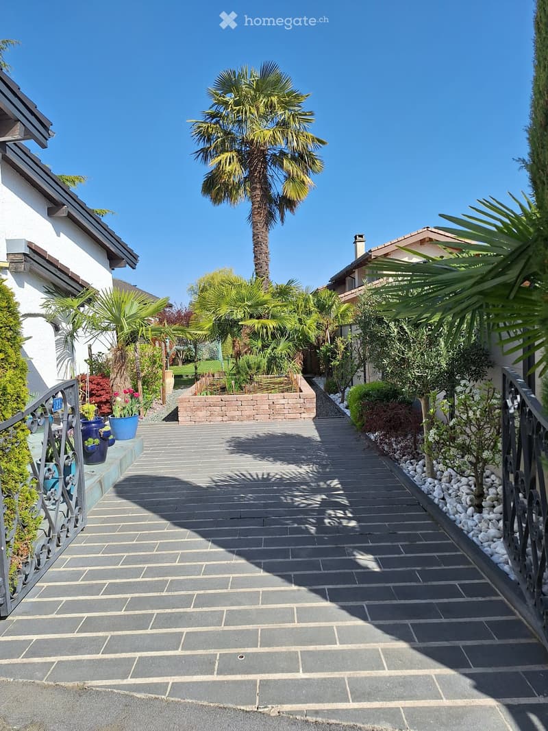 A well-maintained garden pathway lined with palm trees, shrubs, and potted plants, leading to a house entrance.