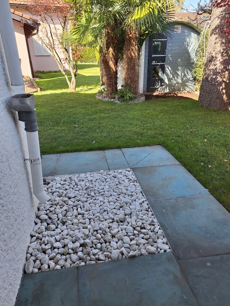 Garden area with a concrete pathway bordered by white rocks, a small shed, palm trees, and a grassy lawn.
