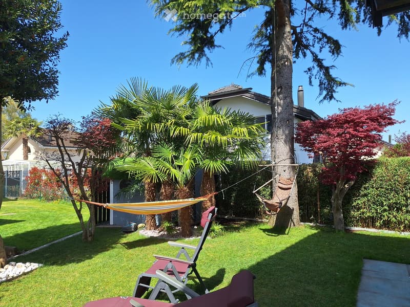 Garden with green grass, palm trees, a hammock, and a lounge chair.