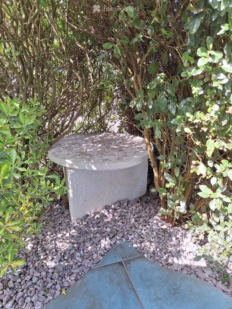 Garden area with a stone bench surrounded by greenery and small rocks, with a paved surface visible in the foreground.