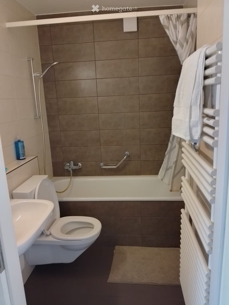 Modern bathroom with a toilet, bathtub, sink, radiator, and towel. Features a shower head and handrail in the bathtub area.