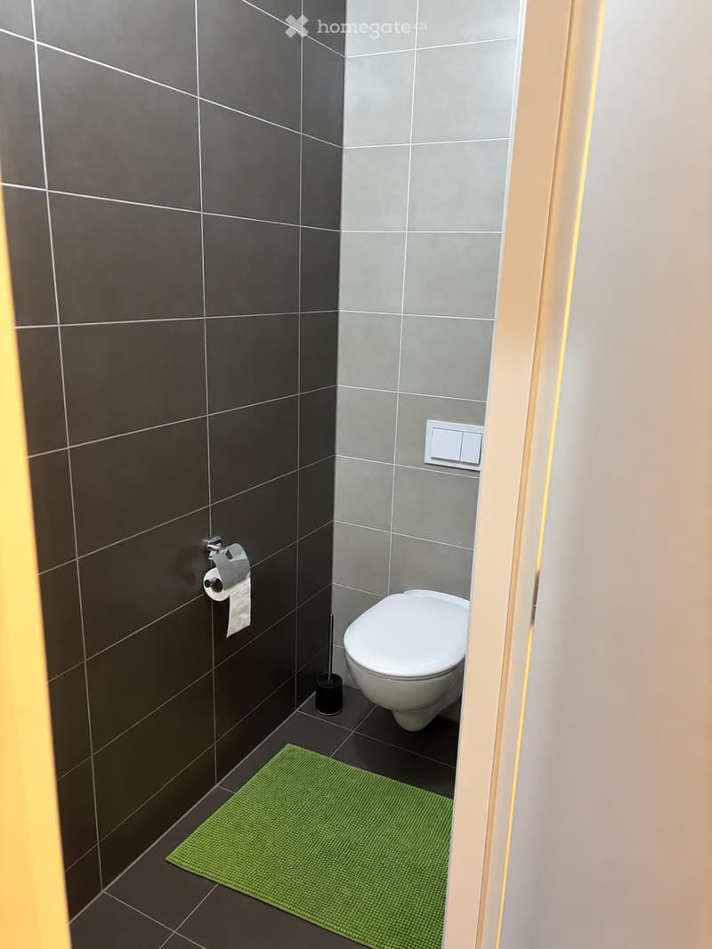 Modern bathroom with dark grey tiled walls, a white toilet, a green bathroom rug, and a toilet paper holder.