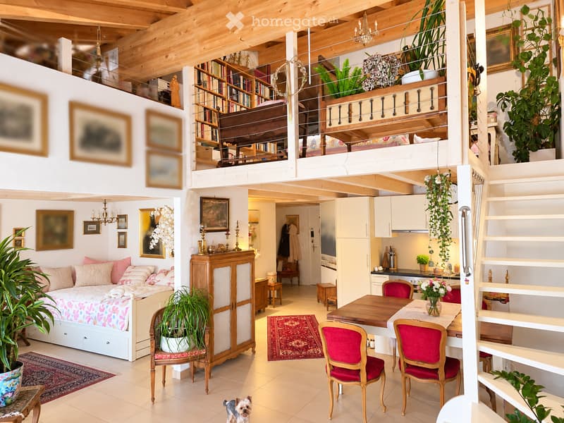 Open-concept living space with a raised loft area, featuring a sofa, dining table with chairs, bookshelf, kitchen area, and decorative elements like framed pictures and potted plants.