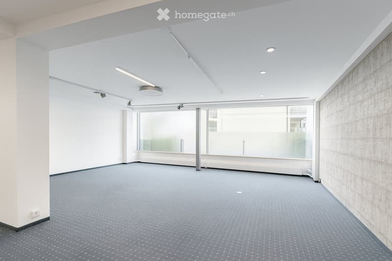 Empty room with grey carpeted floor, white walls, and large glass window with frosted glass panels. Minimalist design with recessed lighting and a single ceiling light fixture.