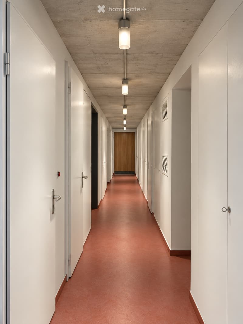 Modern hallway with white walls, red carpeted floor, and wooden ceiling. Features several closed doors and recessed lighting fixtures.