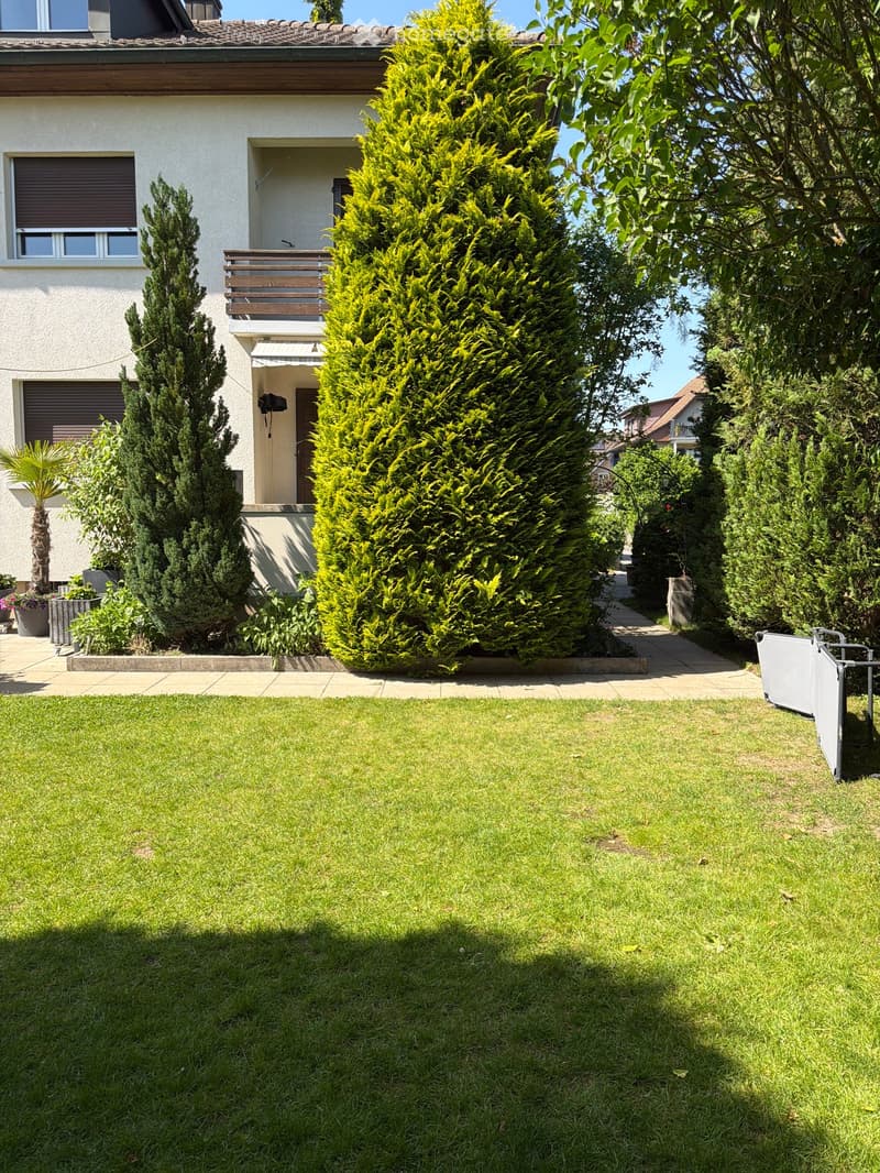 Well-maintained garden with a neatly trimmed lawn, several tall coniferous trees, and a pathway leading to the house entrance.