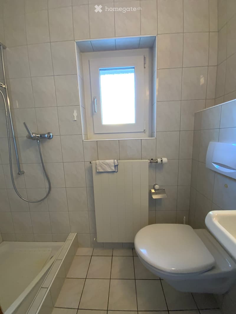 small bathroom with shower, bathtub, toilet, sink and window