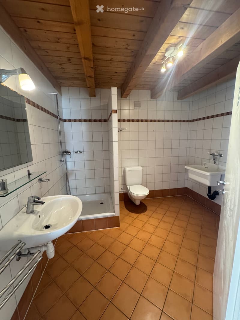 Bathroom with wooden ceiling, tiled walls, and brown tiled floor. Includes a toilet, two sinks, a bathtub, and a mirror.