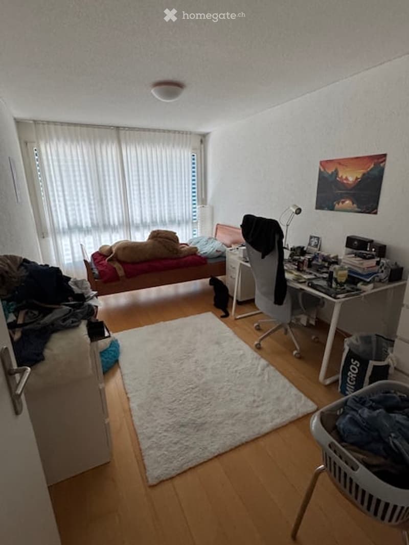A furnished bedroom with a bed, desk, chair, and a small black cat. The room features a large window with white curtains, a white rug, and a picture frame on the wall.