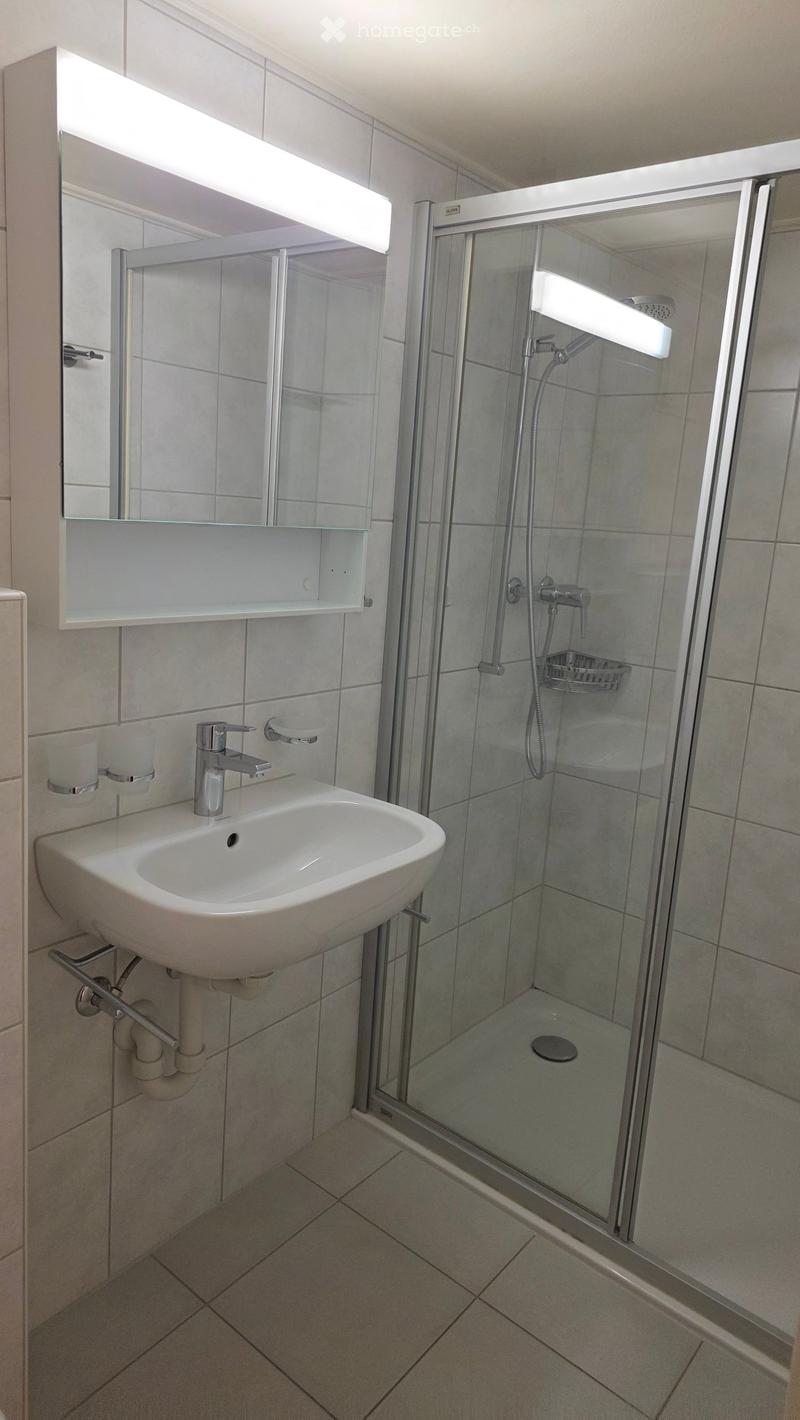 Modern bathroom with a white sink, mirror, and glass-enclosed shower. Features a sleek faucet, built-in glass shelf, and modern tile work.