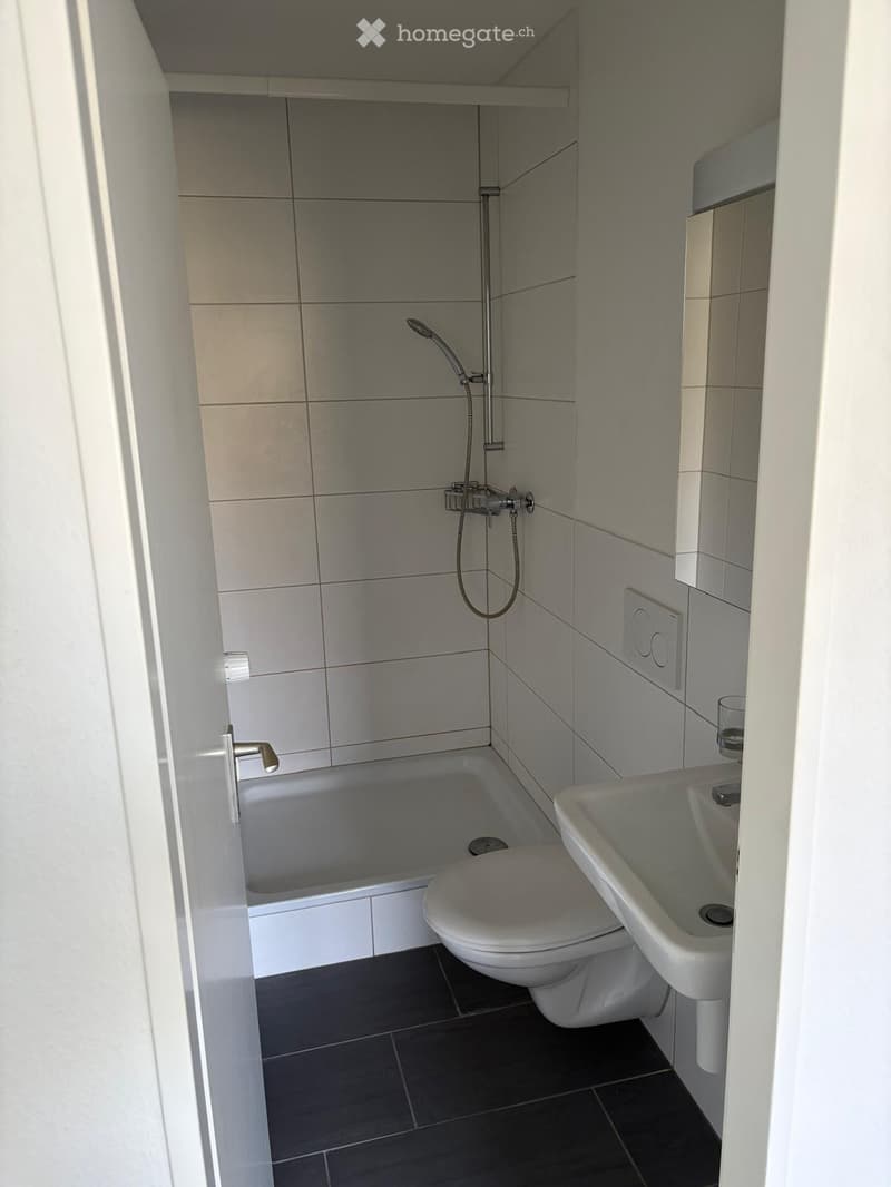 Modern bathroom with a bathtub, toilet, sink, and showerhead. The walls are tiled in light gray, and the floor is dark gray tiles.