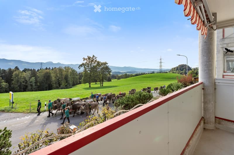 Balcony overlooking a scenic rural landscape with cows being led along a road, green fields, and distant mountains.