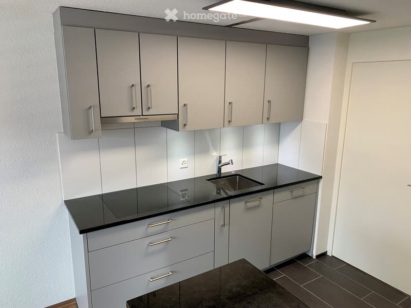 modern kitchen, black countertops, gray cabinets, double oven, dishwasher, granite countertop, LED lighting