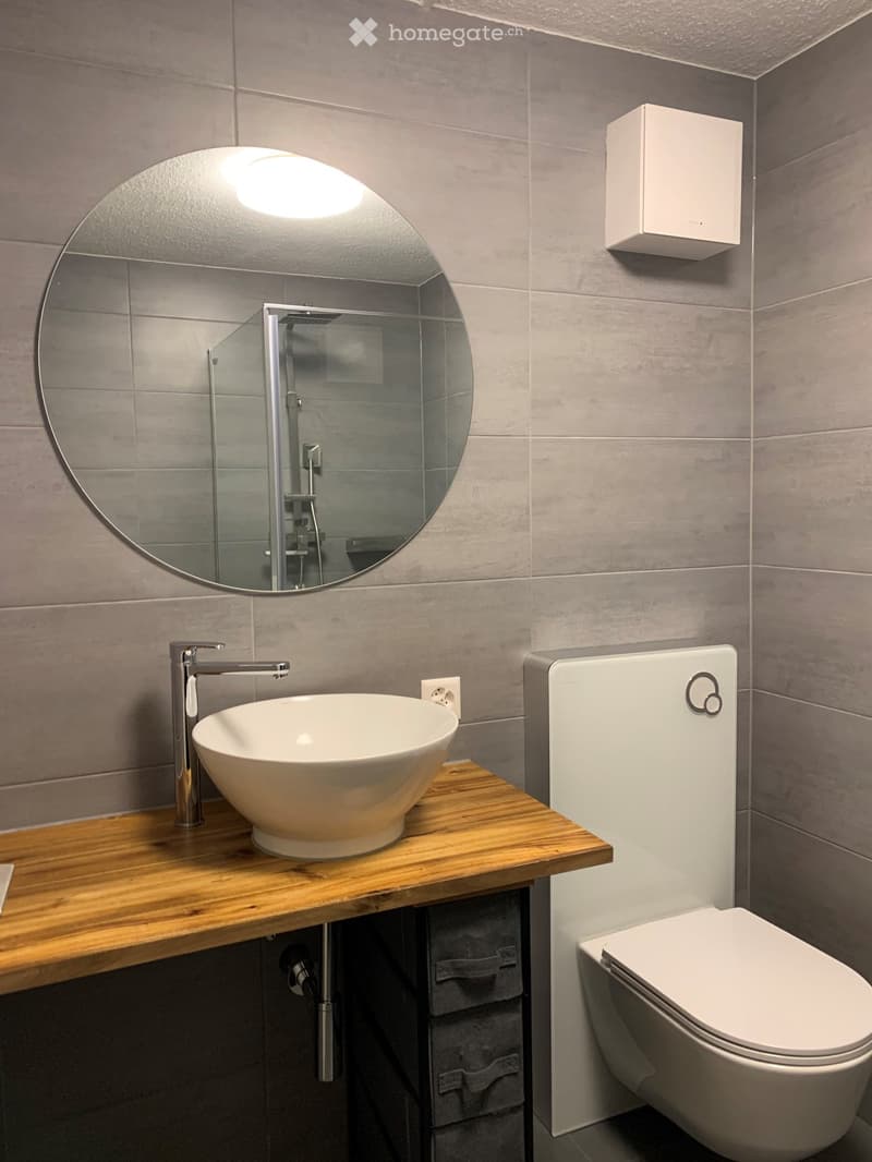 Bathroom with sink, round mirror, white toilet, gray tiles