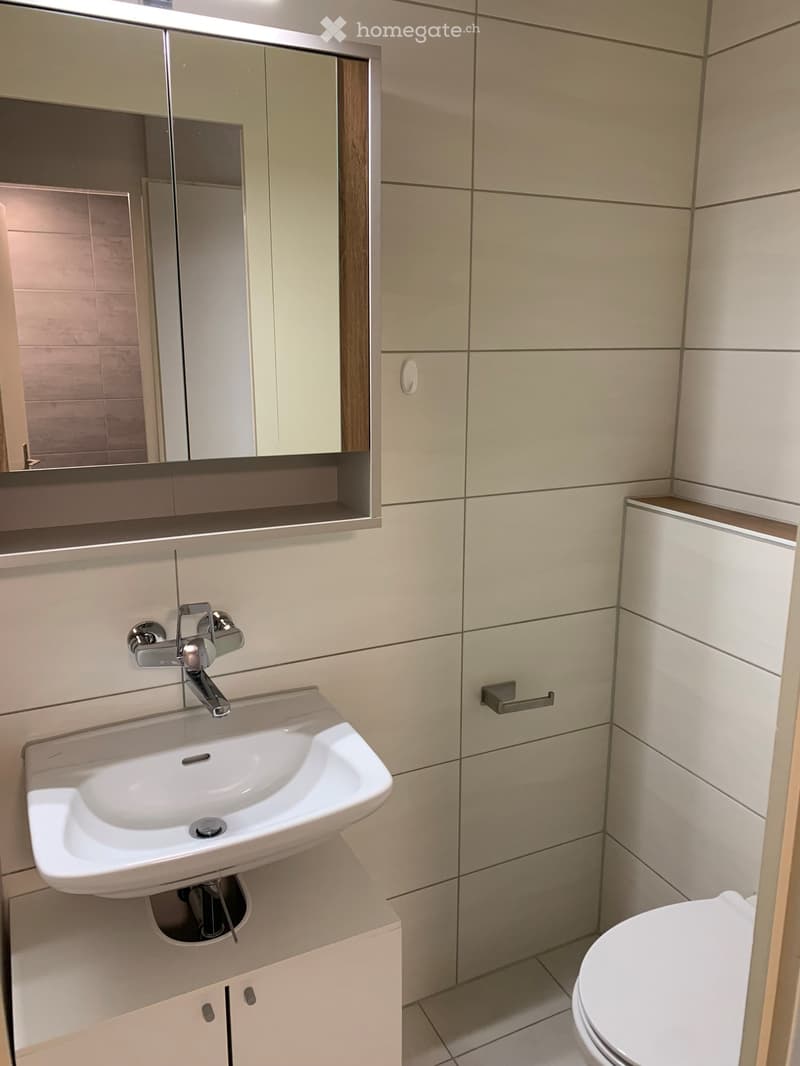 modern bathroom with white tiled walls, a white vanity with sink, a mirror with wooden frame, a toilet, and white toilet paper holder