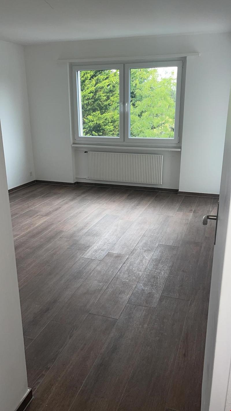 Grosse Wohnung/grand appartement (8)