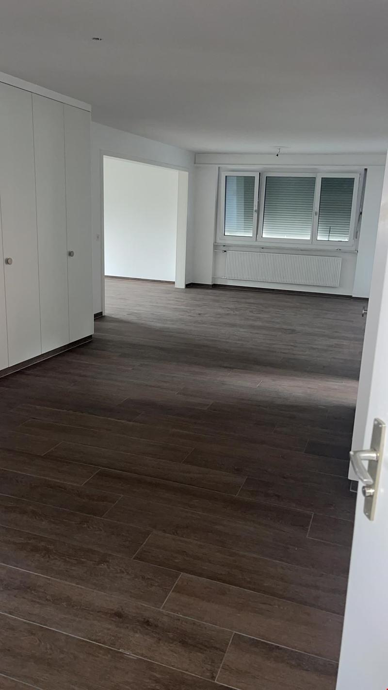 Grosse Wohnung/grand appartement (5)