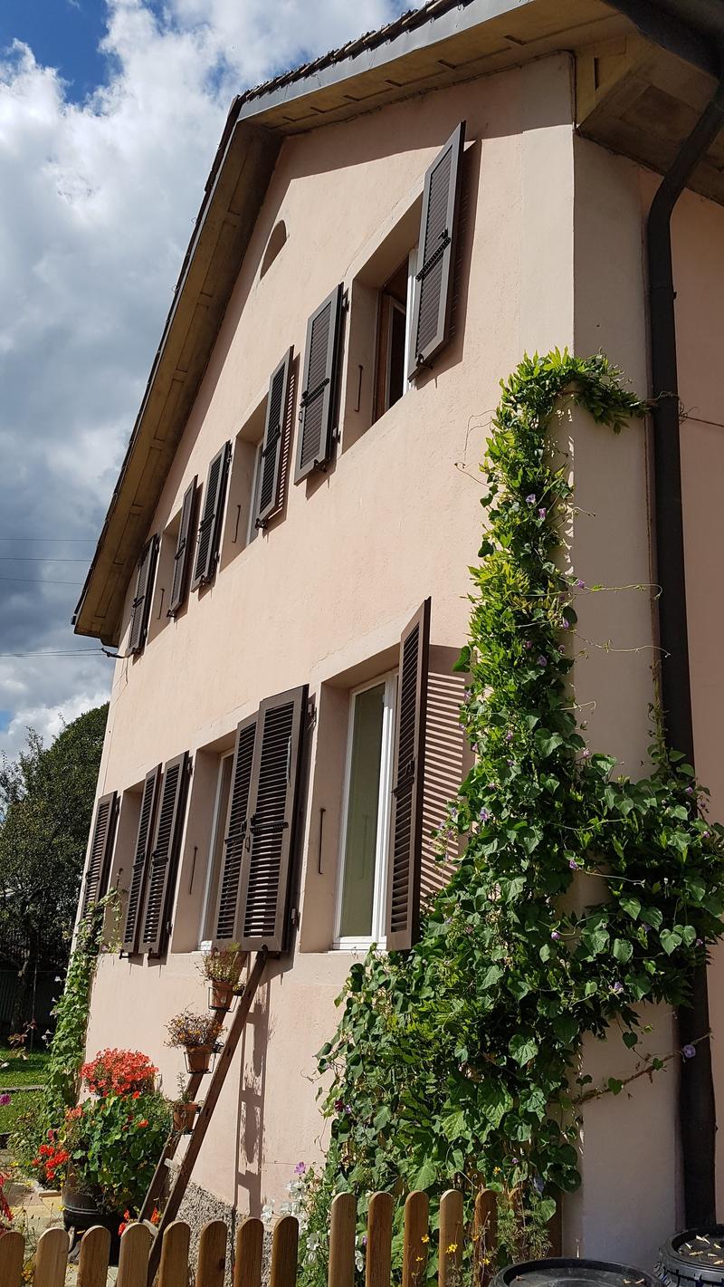 Maison villageoise de 2 appartements 2612 Cormoret (1)