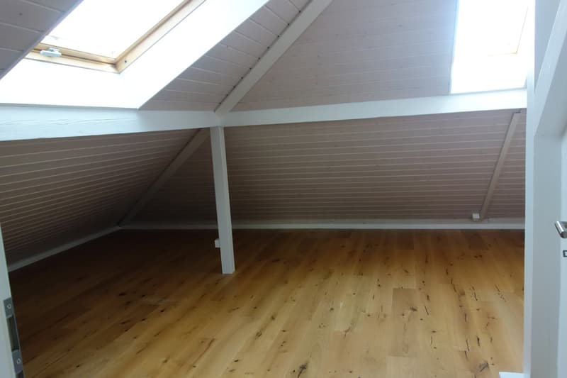 Maison individuelle spacieuse de 6 pièces à Bienne (13)