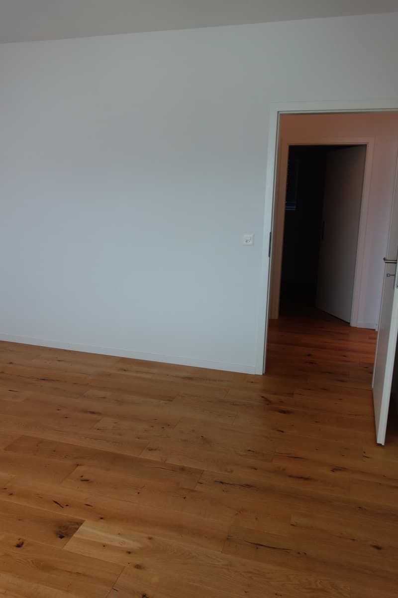 Maison individuelle spacieuse de 6 pièces à Bienne (12)