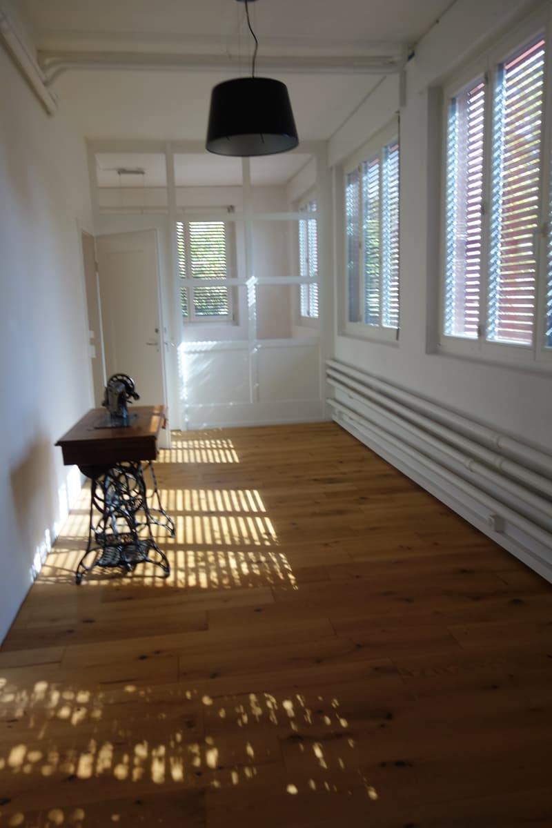 Maison individuelle spacieuse de 6 pièces à Bienne (18)