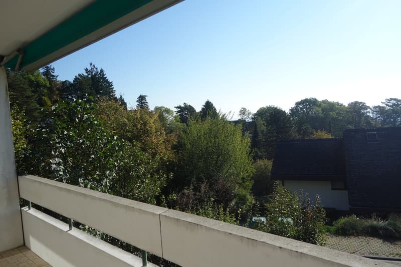 Appartement de 3.5 pièces avec balcon et vue verdoyante à Evilard (6)