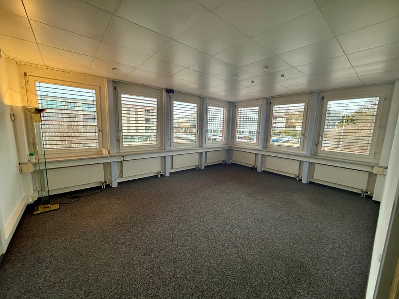 Empty room with multiple windows and a carpeted floor.